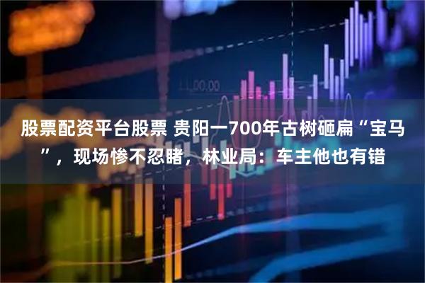 股票配资平台股票 贵阳一700年古树砸扁“宝马”，现场惨不忍睹，林业局：车主他也有错
