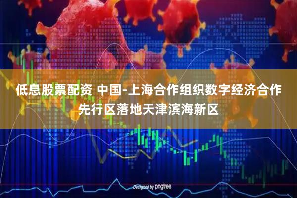 低息股票配资 中国-上海合作组织数字经济合作先行区落地天津滨海新区