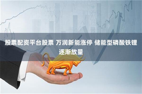 股票配资平台股票 万润新能涨停 储能型磷酸铁锂逐渐放量