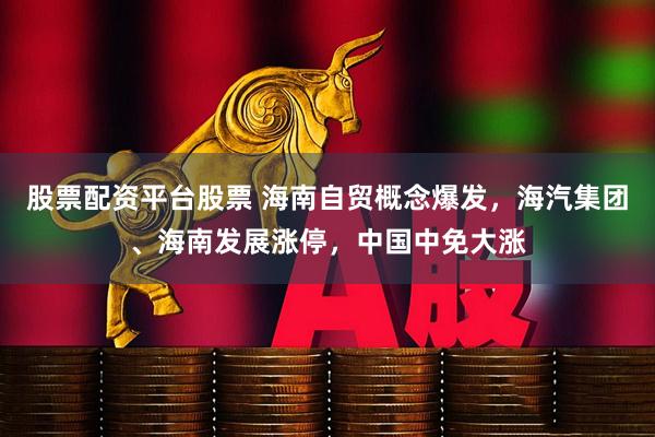 股票配资平台股票 海南自贸概念爆发,海汽集团、海南发展涨停,中国中免大涨