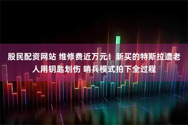 股民配资网站 维修费近万元！新买的特斯拉遭老人用钥匙划伤 哨兵模式拍下全过程